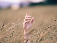 Gluten Challenge – lohnt es sich?