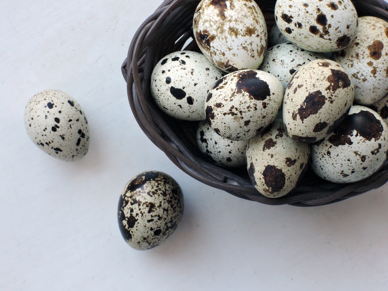 eggs, quail, products