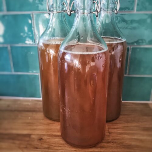 kombucha, tea, japan