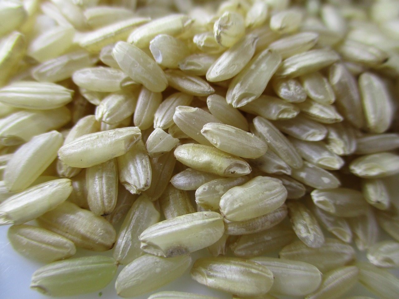 rice, risotto, brown rice