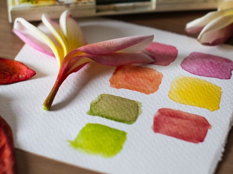 pink and white flower petals on white table