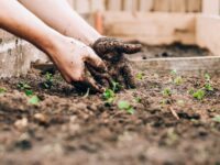 The Benefits of Homeschooling