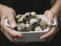 Formaggio crudo: Un’esplorazione di sapori e tradizioni