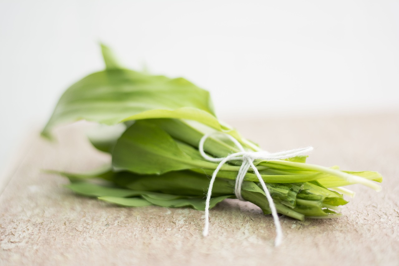 bear garlic, green, to eat