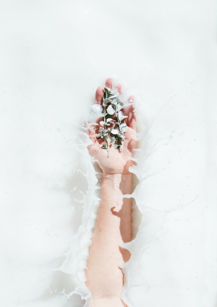 Person Holding A Plant